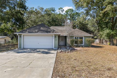 Photo of 36101 Mattawan Drive, Eustis, FL 32736 (MLS # O6379809)