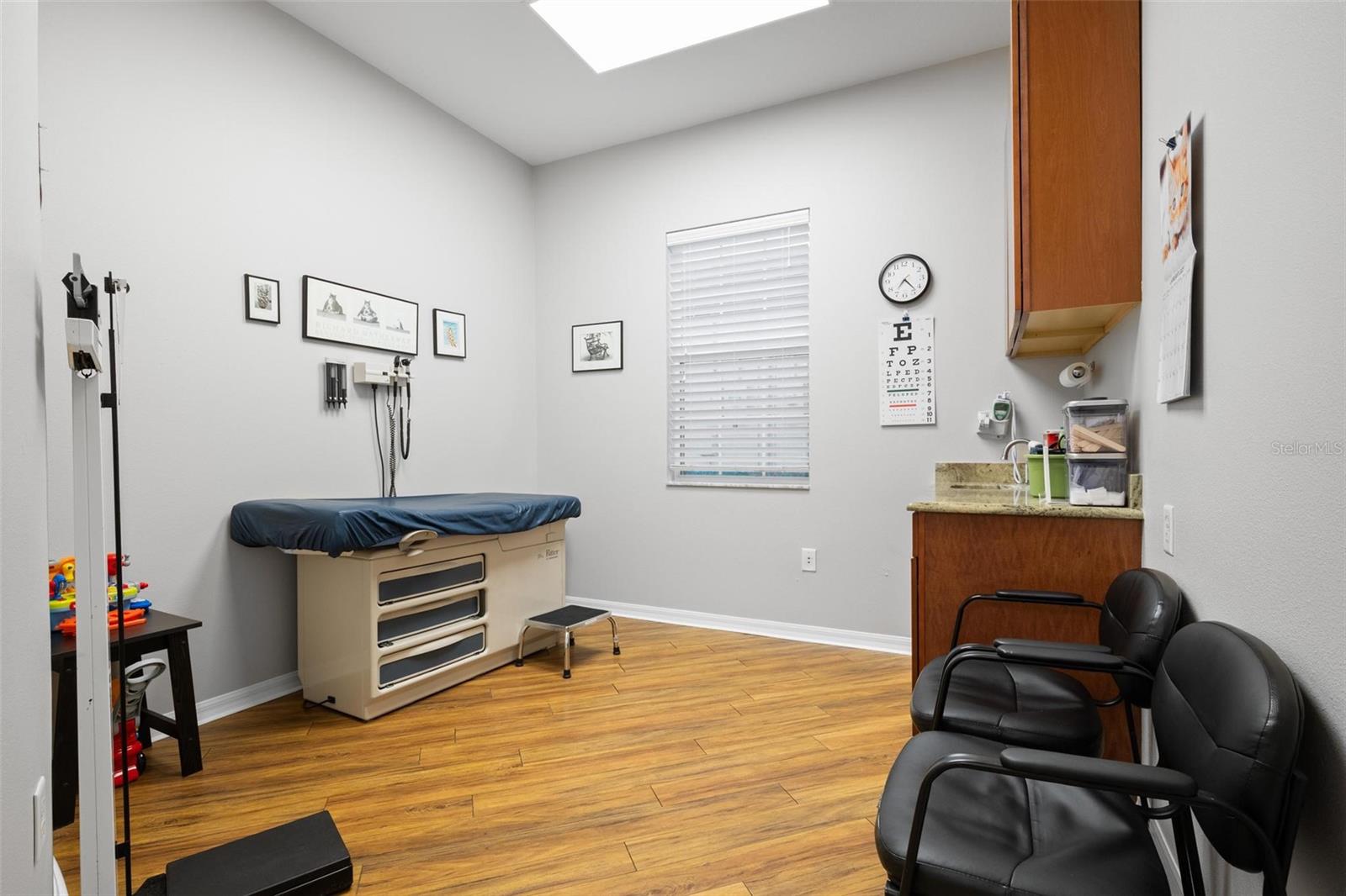 BALLANTRAE PROFESSIONAL - Commercial Sale