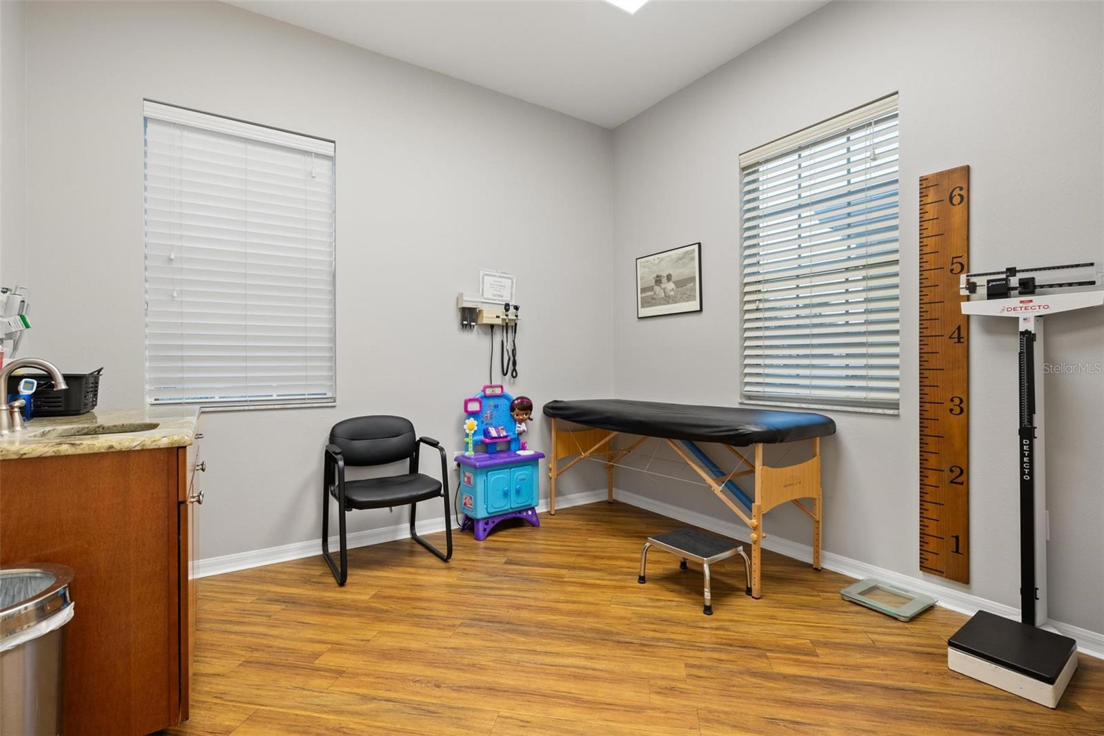 BALLANTRAE PROFESSIONAL - Commercial Sale