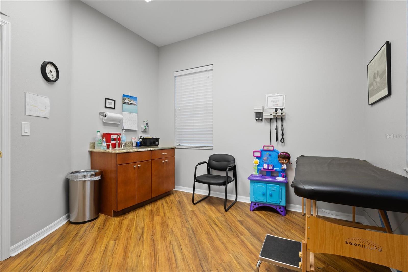 BALLANTRAE PROFESSIONAL - Commercial Sale