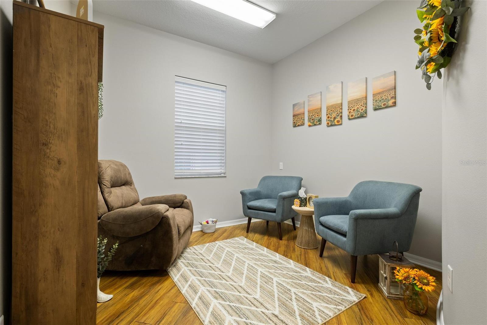 BALLANTRAE PROFESSIONAL - Commercial Sale