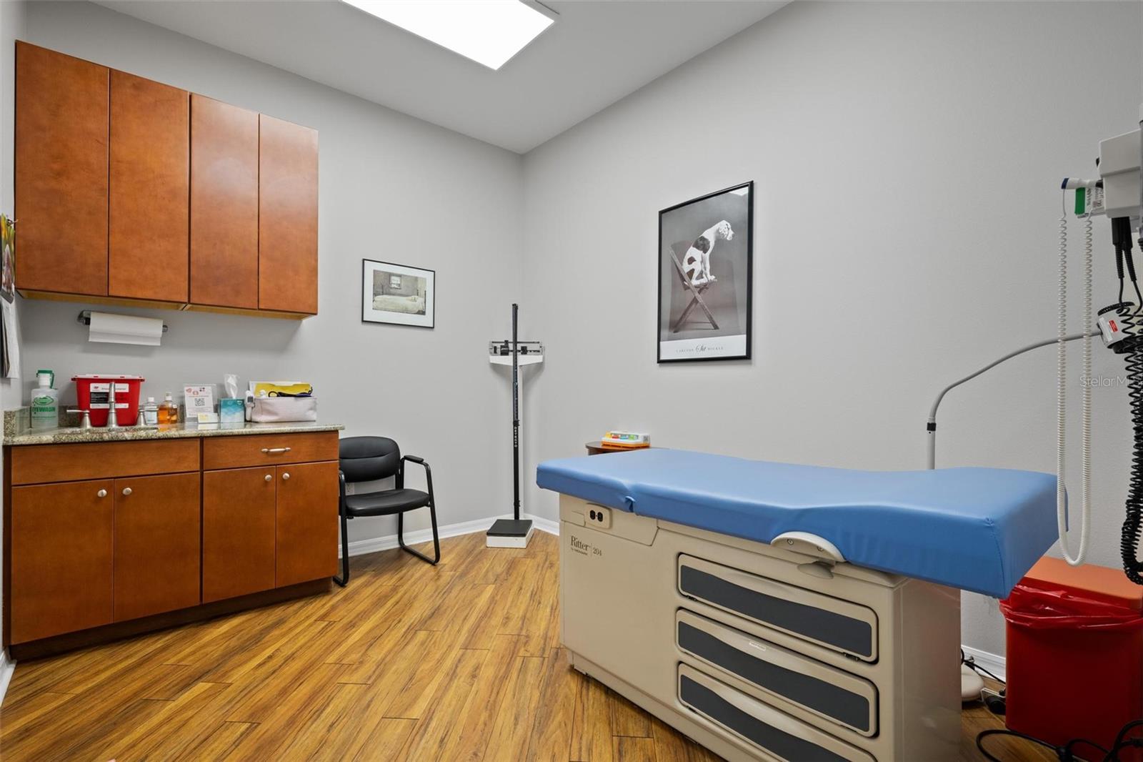 BALLANTRAE PROFESSIONAL - Commercial Sale