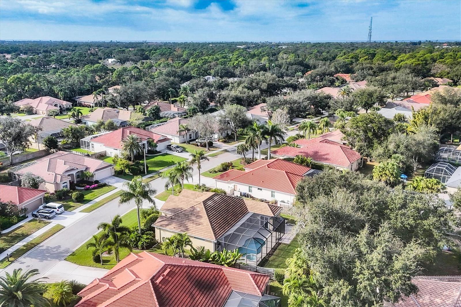 PARK TRACE ESTATES - Residential