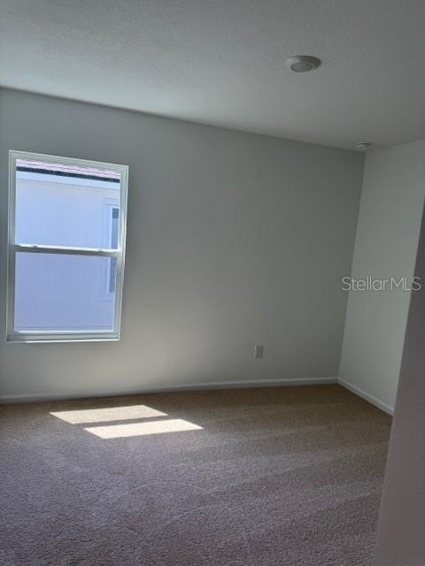 169 GREENWOOD DRIVE