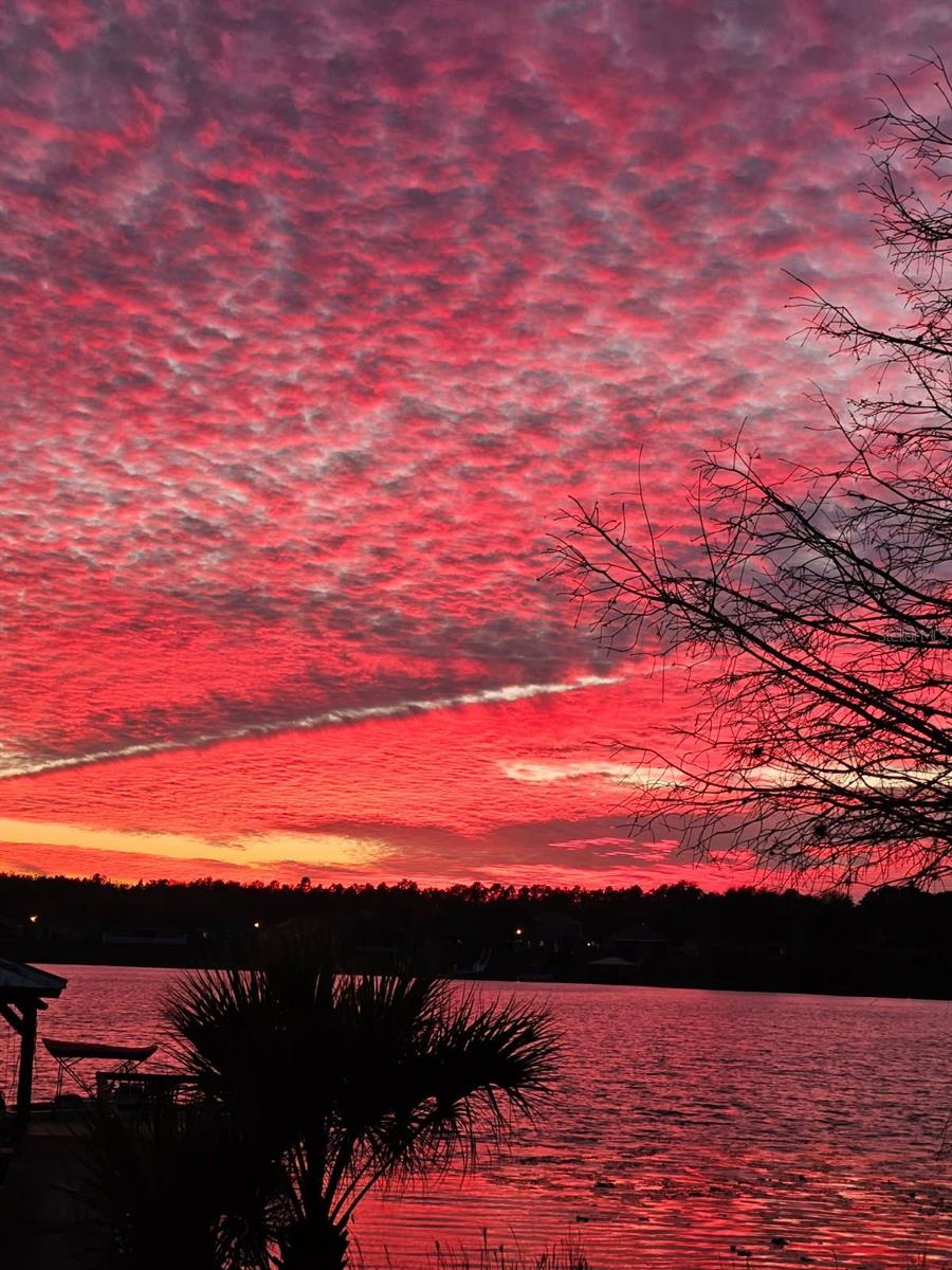 TAVARES LAKE SAUNDERS POINTE LT 01 - Residential