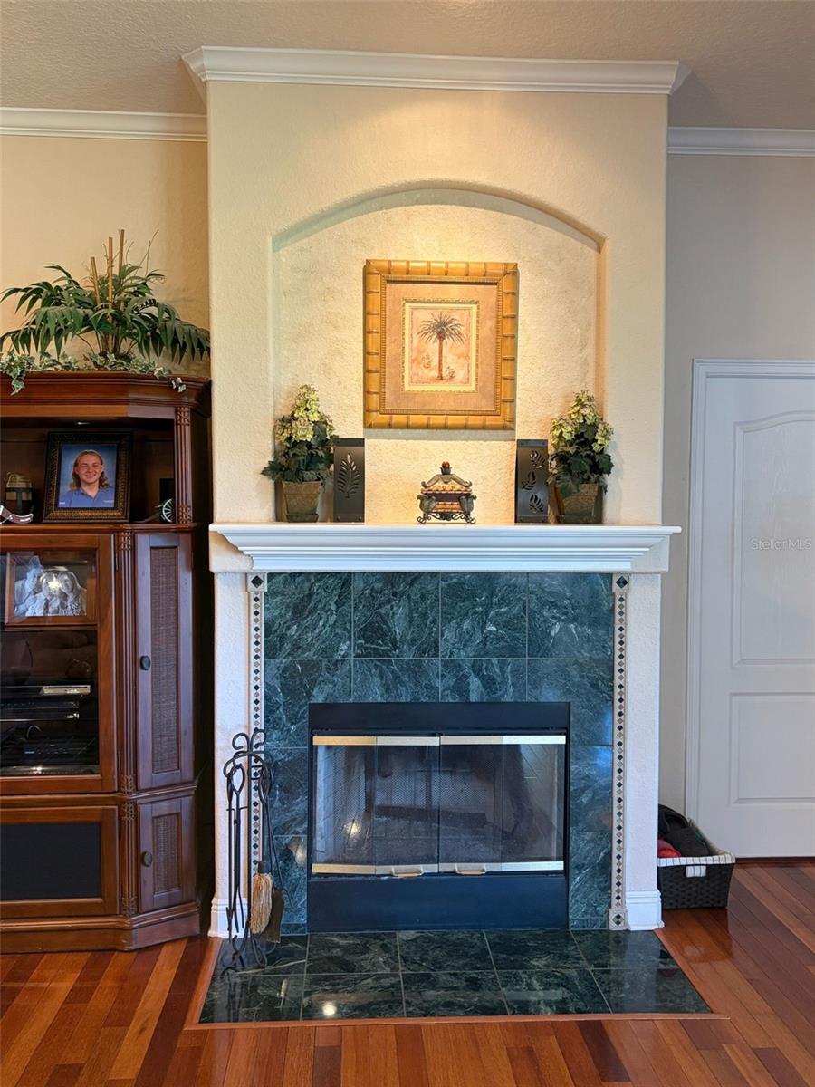 TAVARES LAKE SAUNDERS POINTE LT 01 - Residential