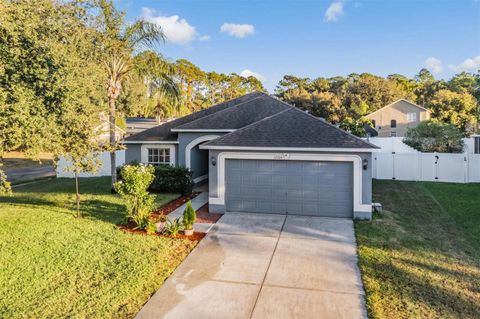 Photo of 12204 Luftburrow Lane, Hudson, FL 34669 (MLS # TB8439249)
