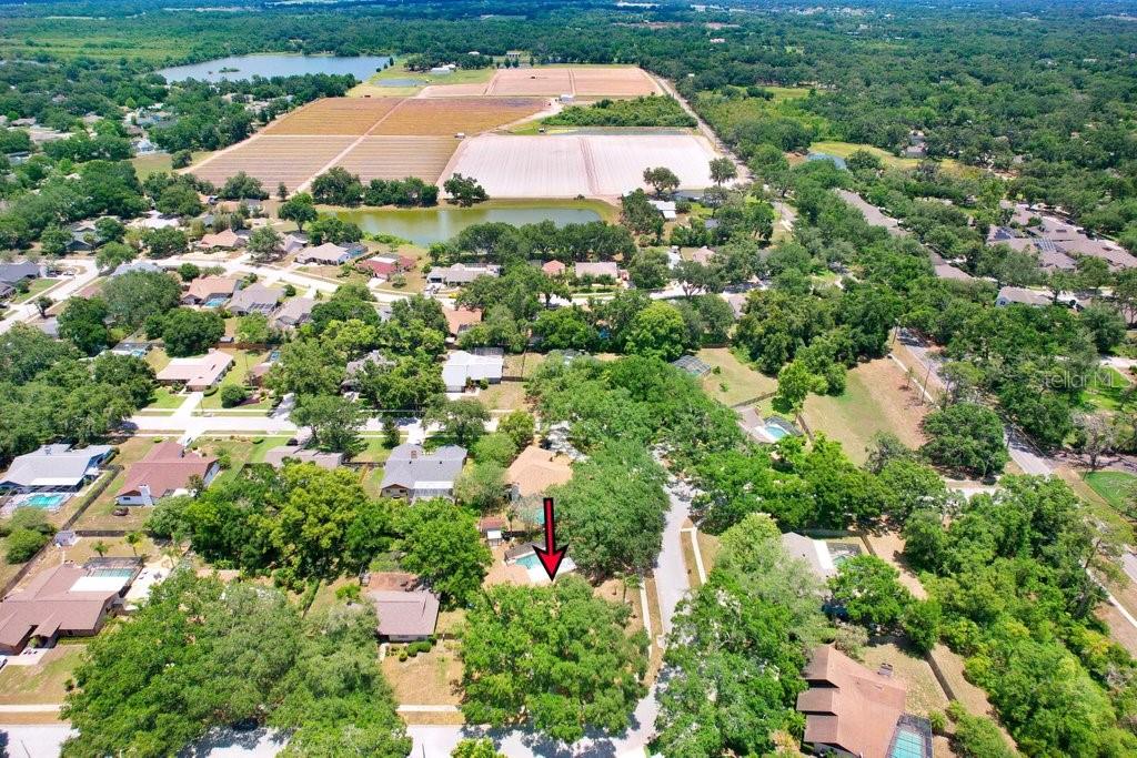 OLD HILLSBOROUGH ESTATES - Residential