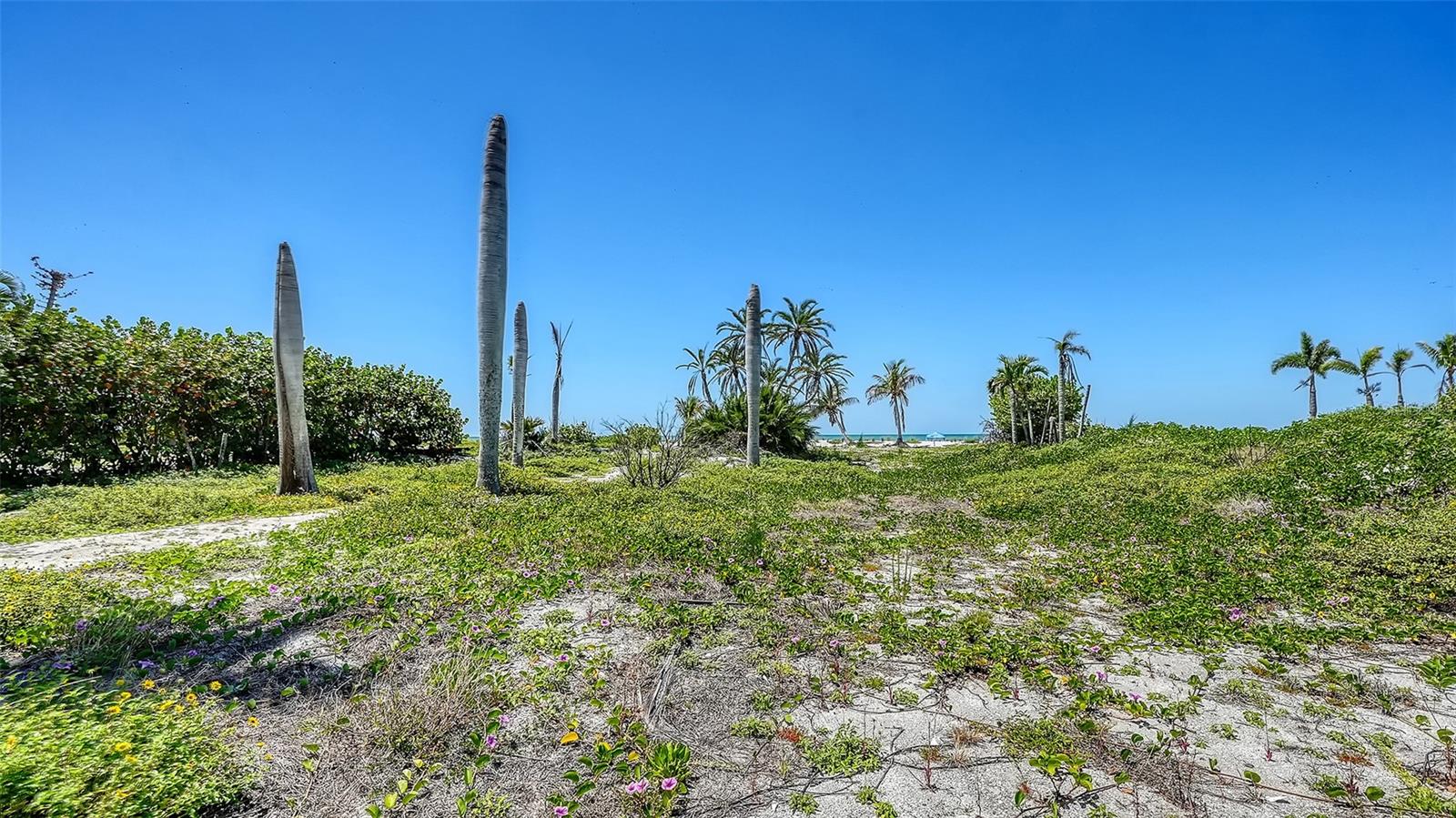 6441 GULFSIDE ROAD