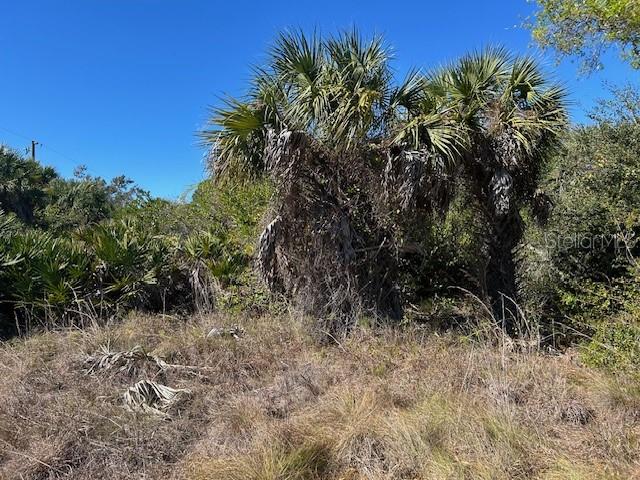 26455 & 26459 DEER ROAD