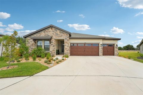 13098 WELLSPRING DRIVE LITHIA FL 33547