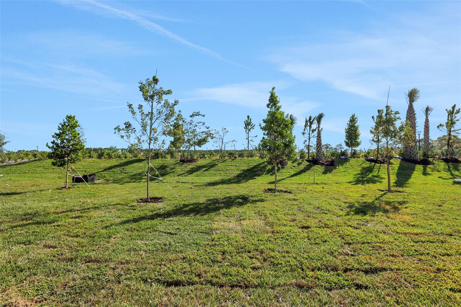 BRYSTOL NORTH AT WYLDER - Residential