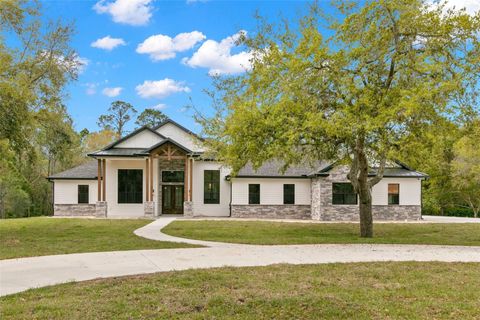 0 PLAINVIEW ROAD Lot 2 ODESSA FL 33556