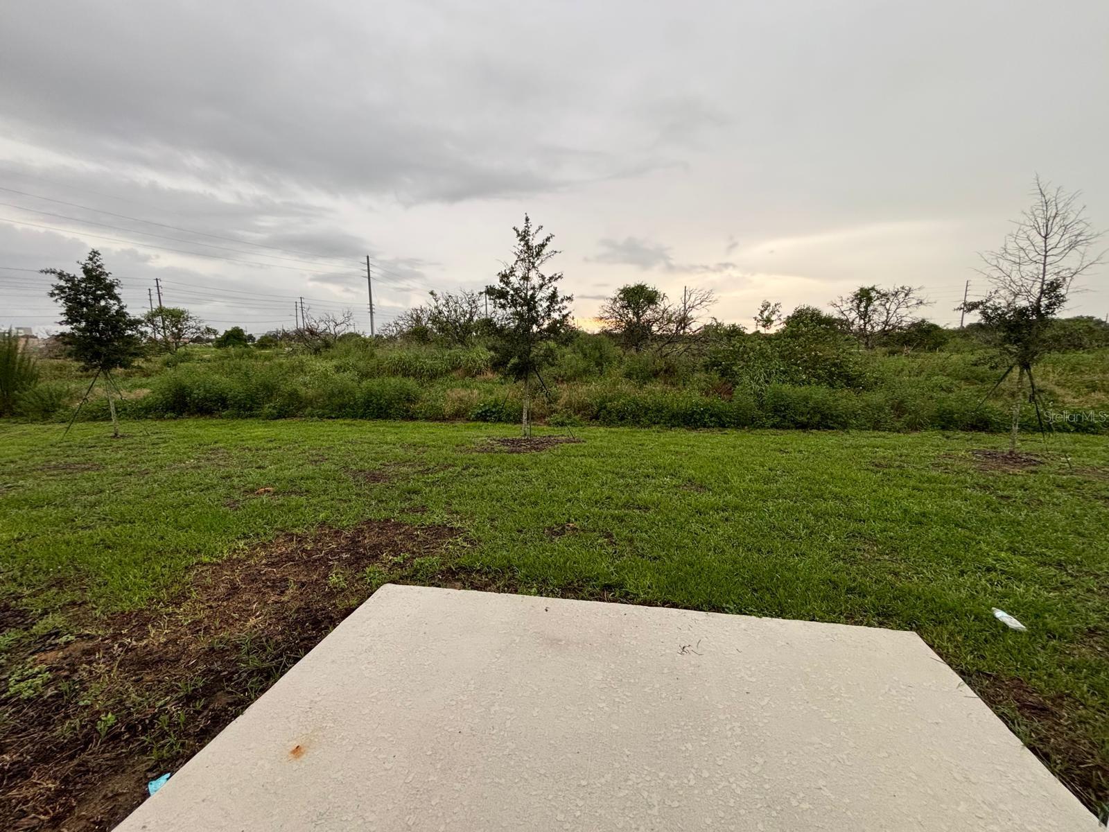 MADISON PLACE PH 3 - Residential Lease