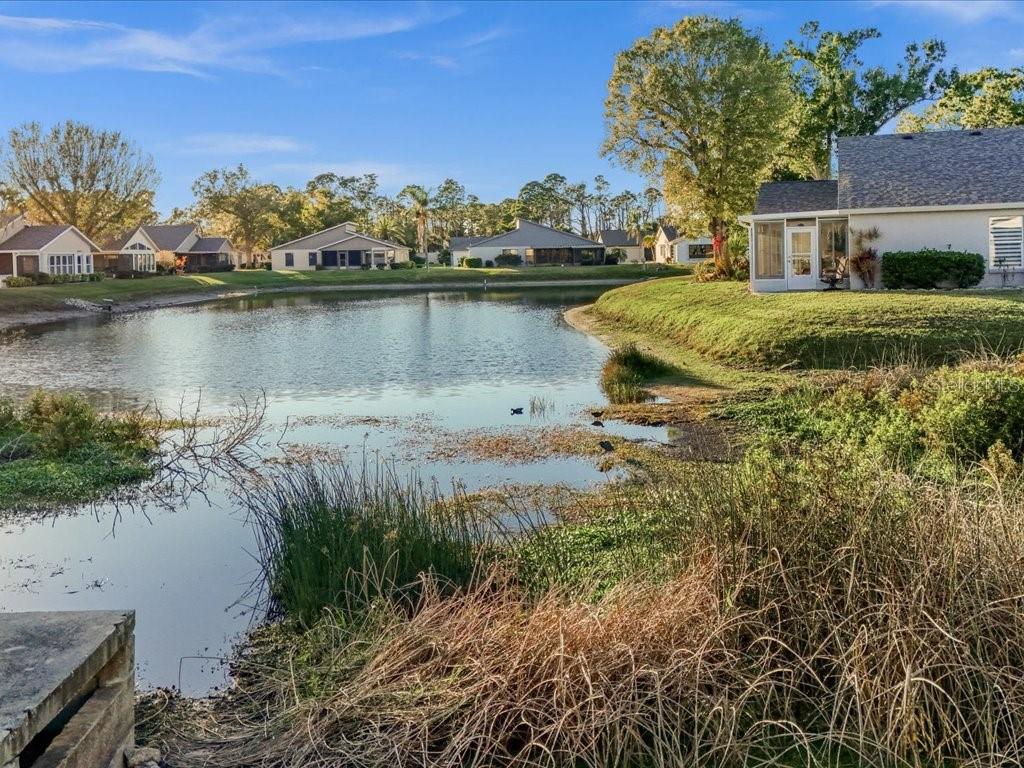 PARK FOREST - Residential