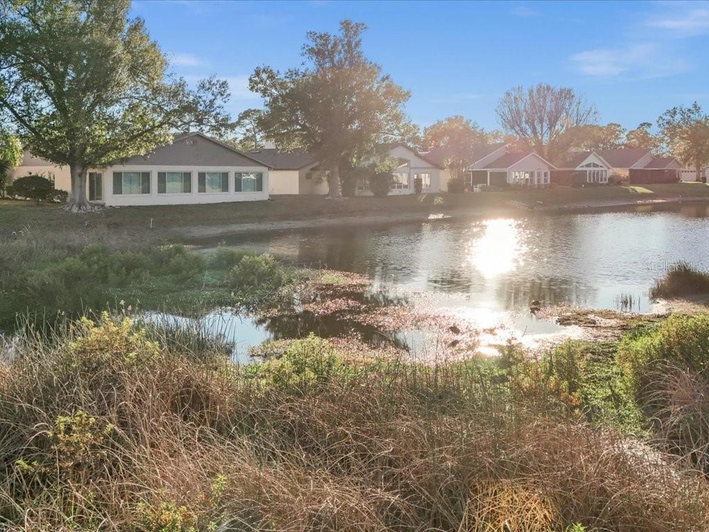 PARK FOREST - Residential