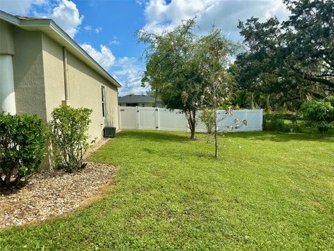 A home in DELTONA