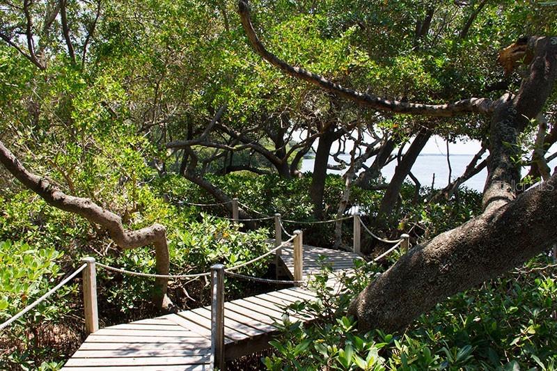 TIDY ISLAND PH II - Residential