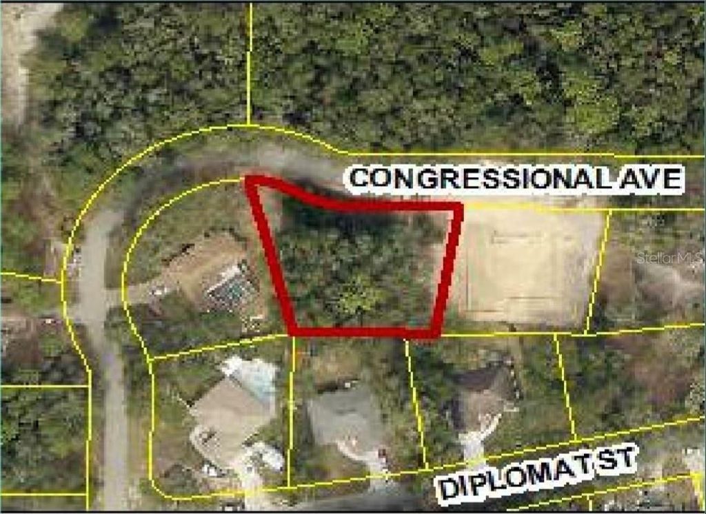 Photo of 34036 Congressional Avenue, Dade City, FL 33523 (MLS # W7886295)