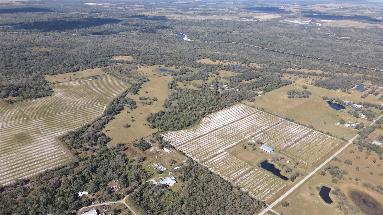 Spanning approximately 162 acres in DeSoto County, Florida, Oakwood Ranch offers a unique blend of agricultural potential and
recreational opportunities. With fertile soils like Farmington Fine Sand and Felda Fine Sand, this property is ideal for sustainable farming,
organic agriculture, and agri-tourism. Zoned A-10, it allows for diverse uses including single-family residences, agricultural operations,
and recreational facilities.
Featuring natural ponds, wild citrus, and mature oak trees, the property invites outdoor enthusiasts for activities such as ATV riding,
camping, and nature exploration. Oakwood Ranch represents a rare opportunity to invest in a piece of "Old Florida," combining ecological
sustainability with economic potential.
Oakwood Ranch is nestled in the heart of DeSoto County, Florida, a region known for its rich agricultural heritage and serene natural
beauty. Located just minutes from the charming town of Arcadia, the property enjoys convenient access to shopping, dining, and
community amenities while maintaining a tranquil and private setting.
The property’s location offers proximity to major highways, ensuring seamless connectivity to Sarasota, Fort Myers, and the greater
Tampa Bay area. Surrounded by picturesque landscapes, including rolling pastures, natural ponds, and mature oak trees, Oakwood Ranch
provides an ideal balance of rural living with accessibility to urban conveniences. Its central location makes it perfect for agricultural
ventures, recreational activities, or as a personal retreat.