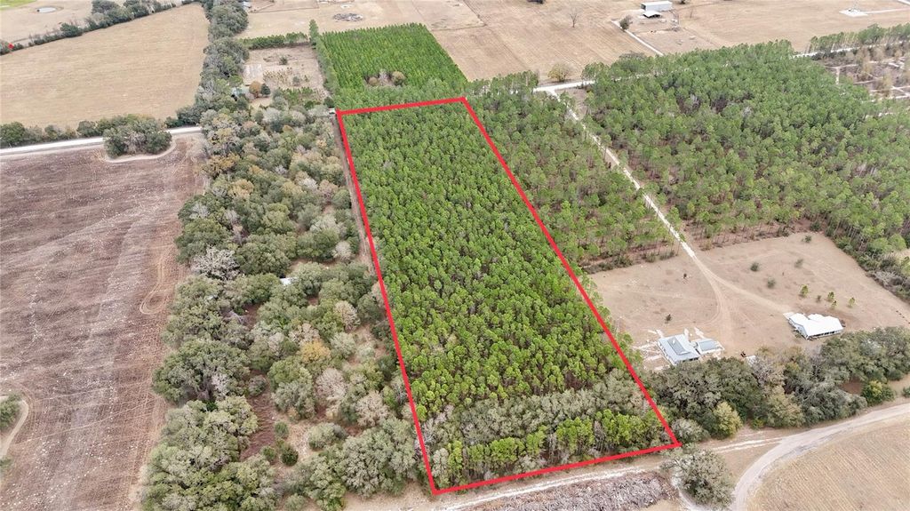 Photo of Tbd NE 10th Avenue, Trenton, FL 32693 (MLS # GC537533)