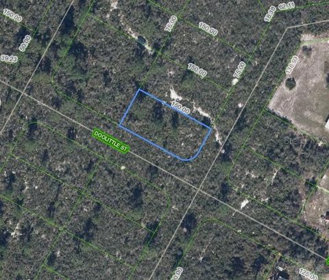  LAKE PLACID FL 33852