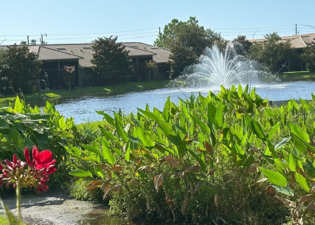 Photo of 2567 Gloriosa Drive, Palm Harbor, FL 34684 (MLS # TB8473040)