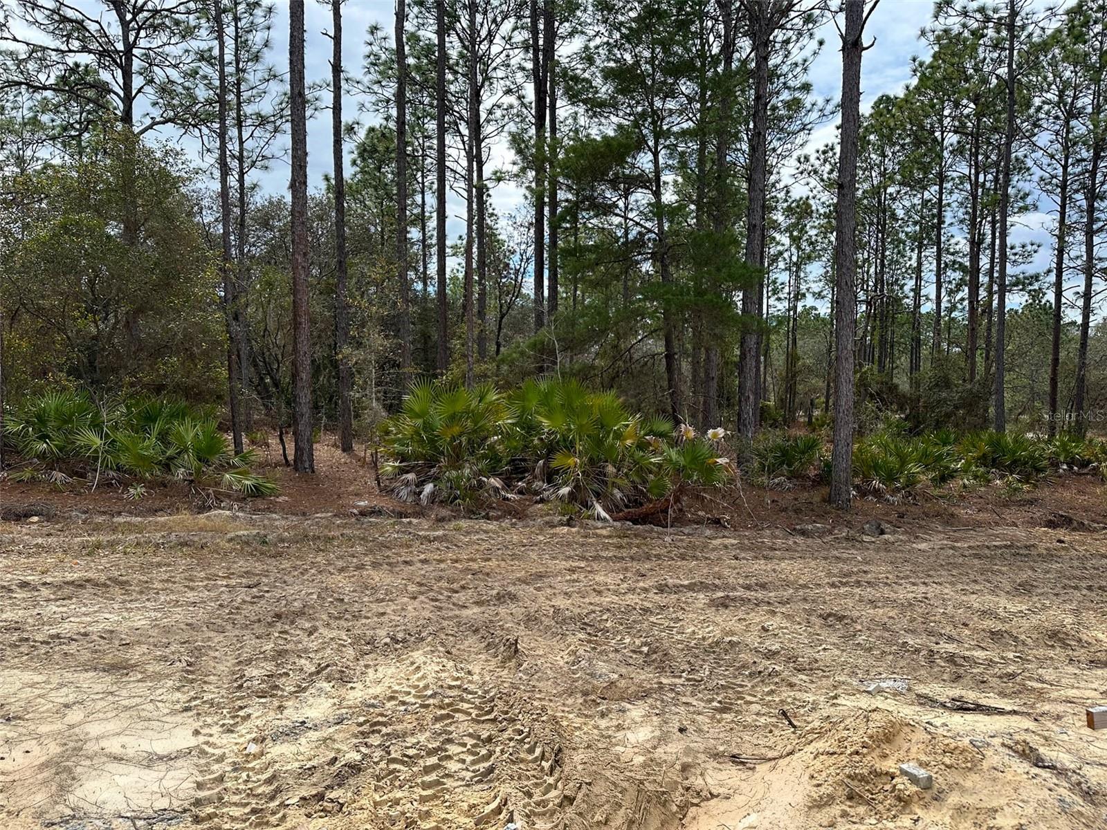 PINE RIDGE UNIT 01 - Residential