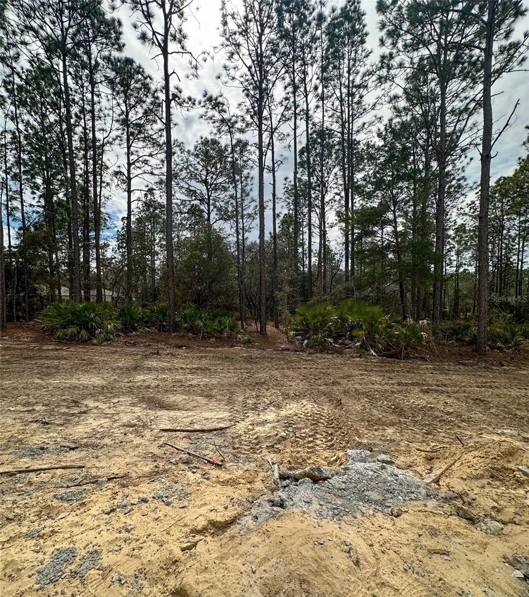 PINE RIDGE UNIT 01 - Residential