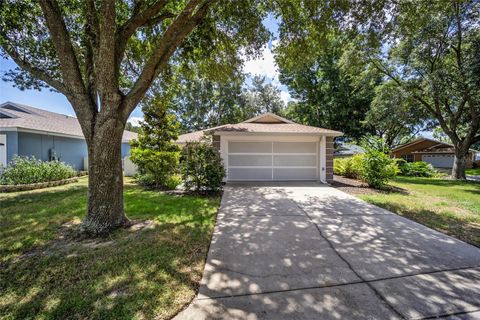 A home in OCALA