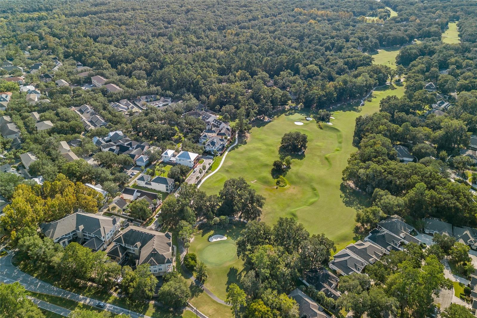 THE VILLAGE AT HAILE - Residential