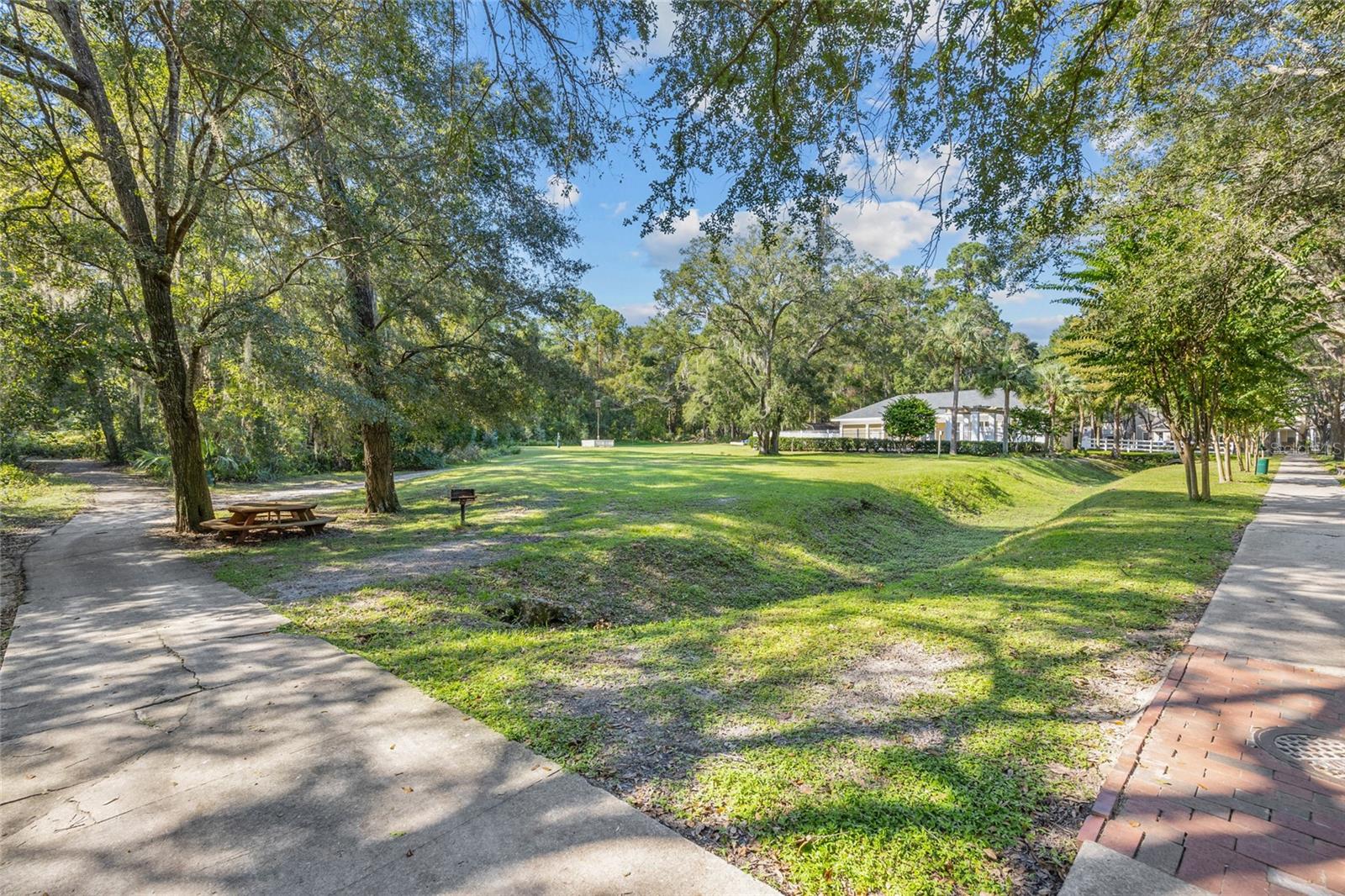 THE VILLAGE AT HAILE - Residential