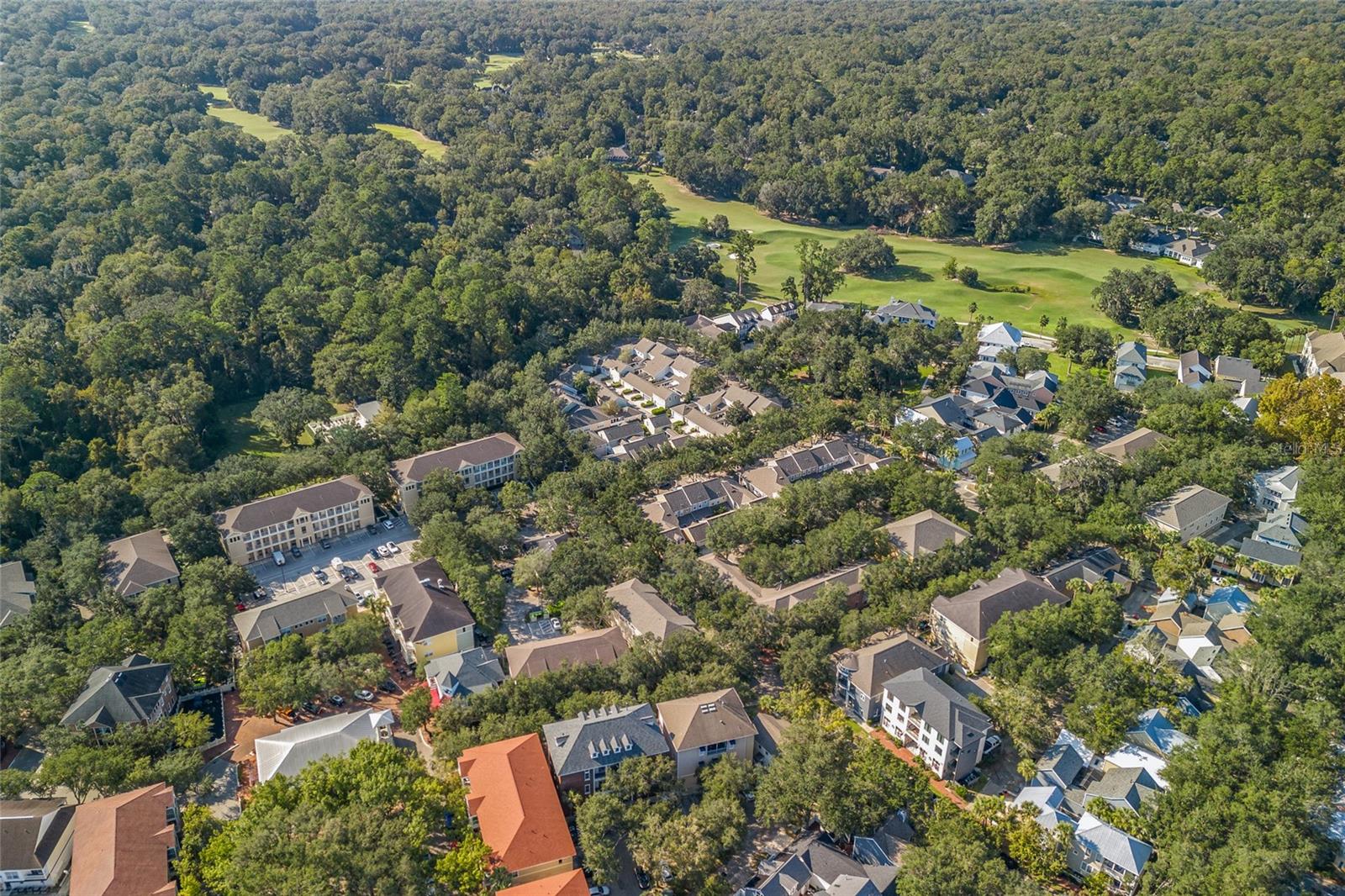 THE VILLAGE AT HAILE - Residential