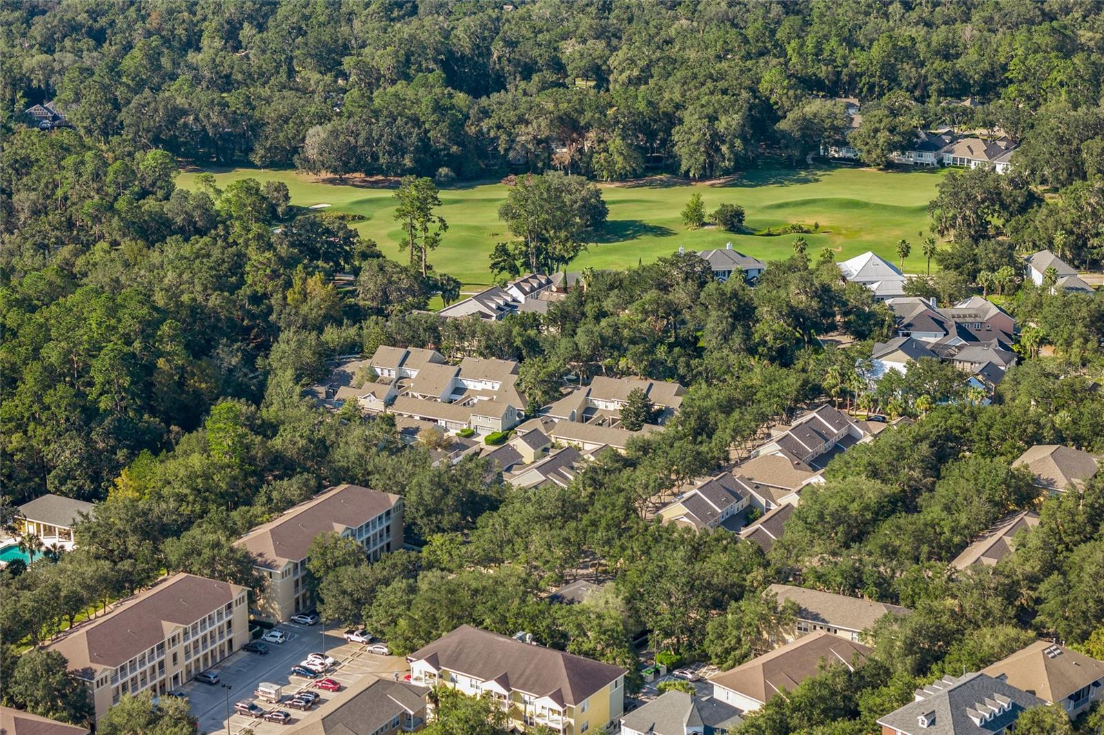THE VILLAGE AT HAILE - Residential