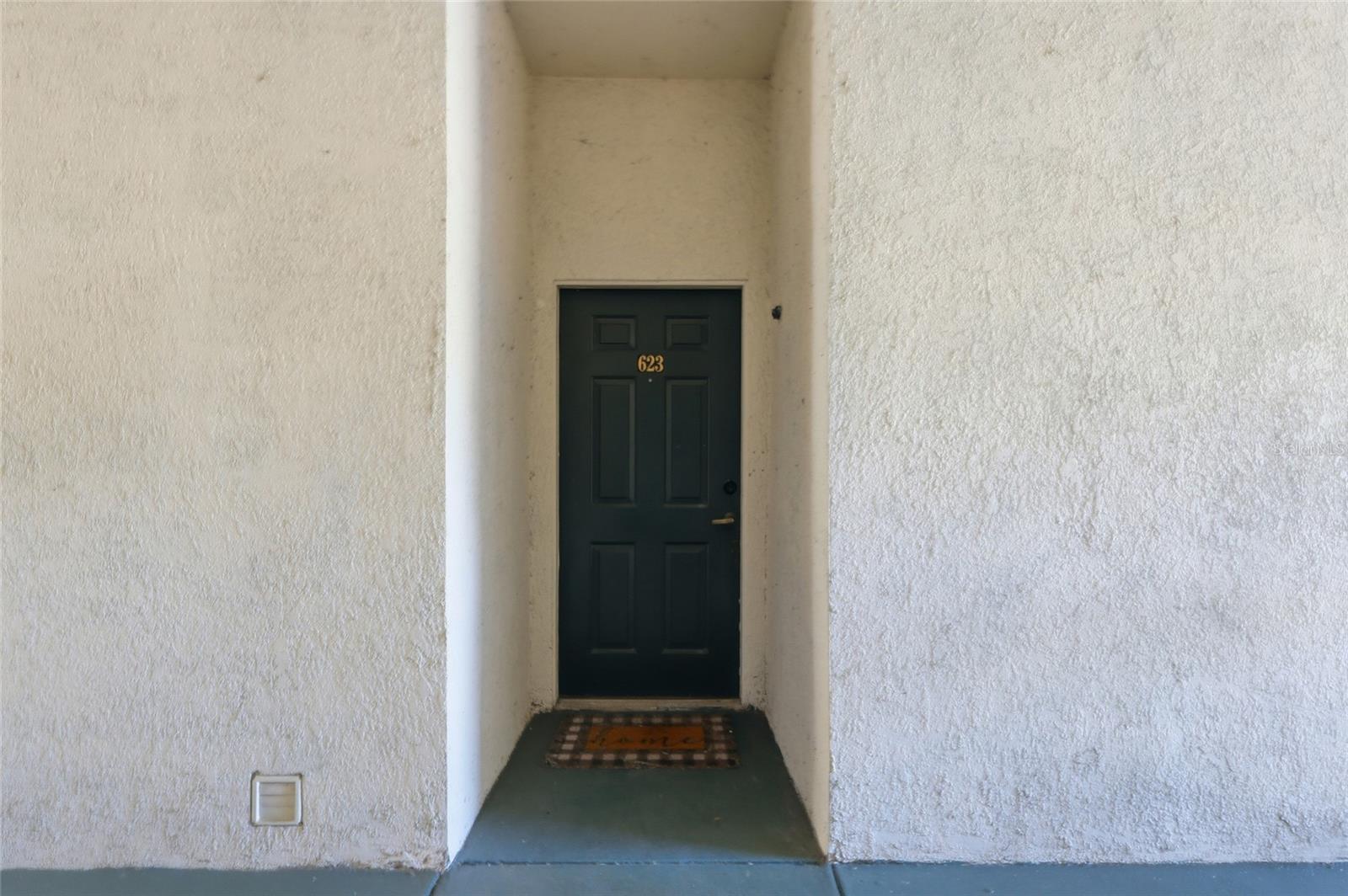 17106 CARRINGTON PARK DRIVE 623