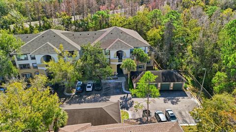 17106 CARRINGTON PARK DRIVE 623 TAMPA FL 33647