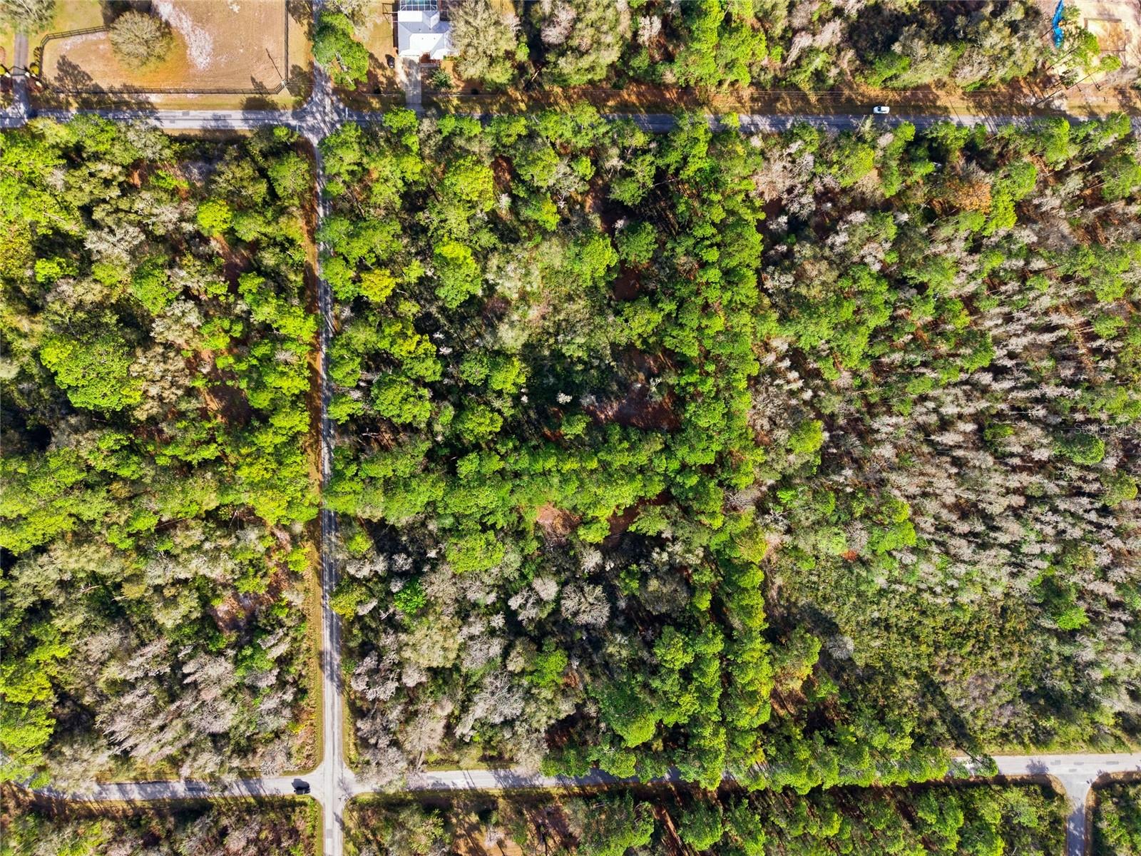 CRYSTAL MANOR - Land