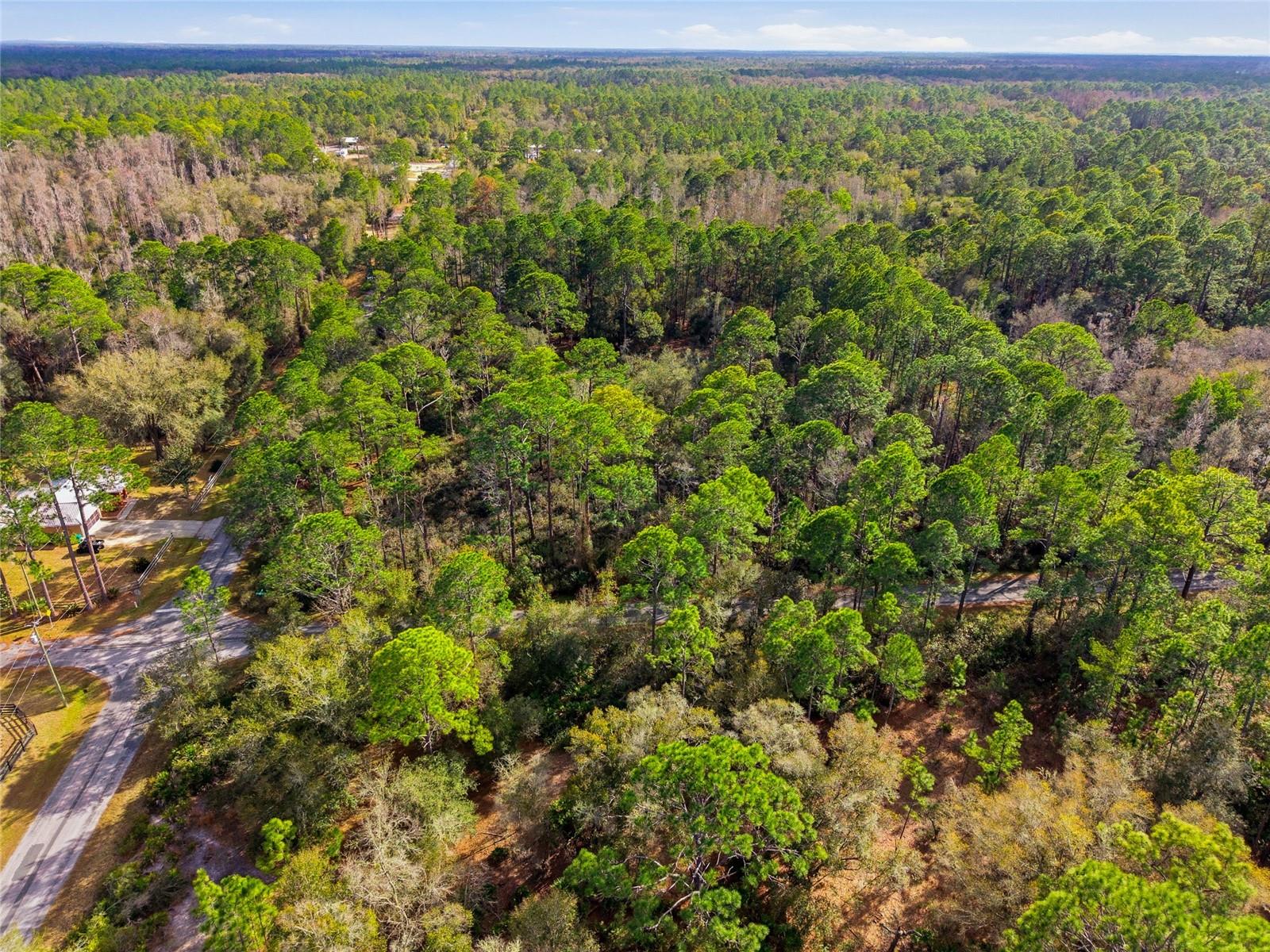 CRYSTAL MANOR - Land