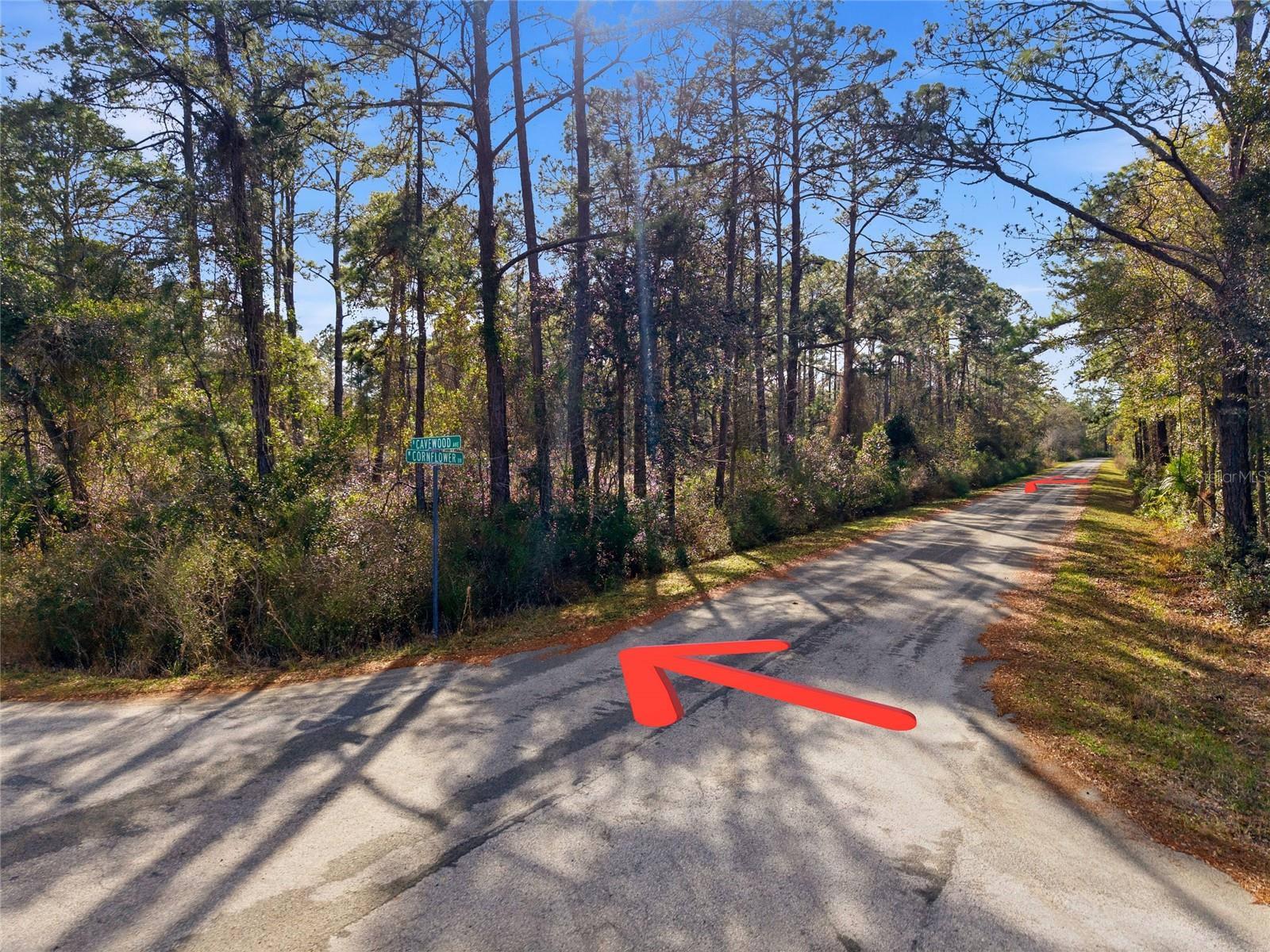 CRYSTAL MANOR - Land