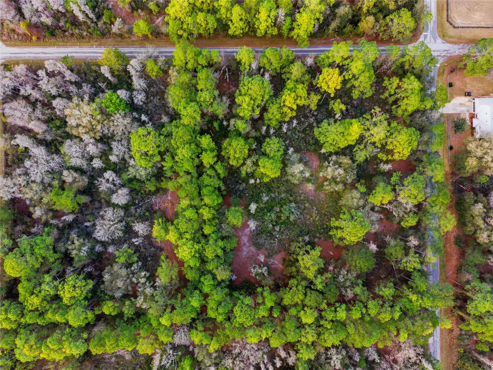 CRYSTAL MANOR - Land