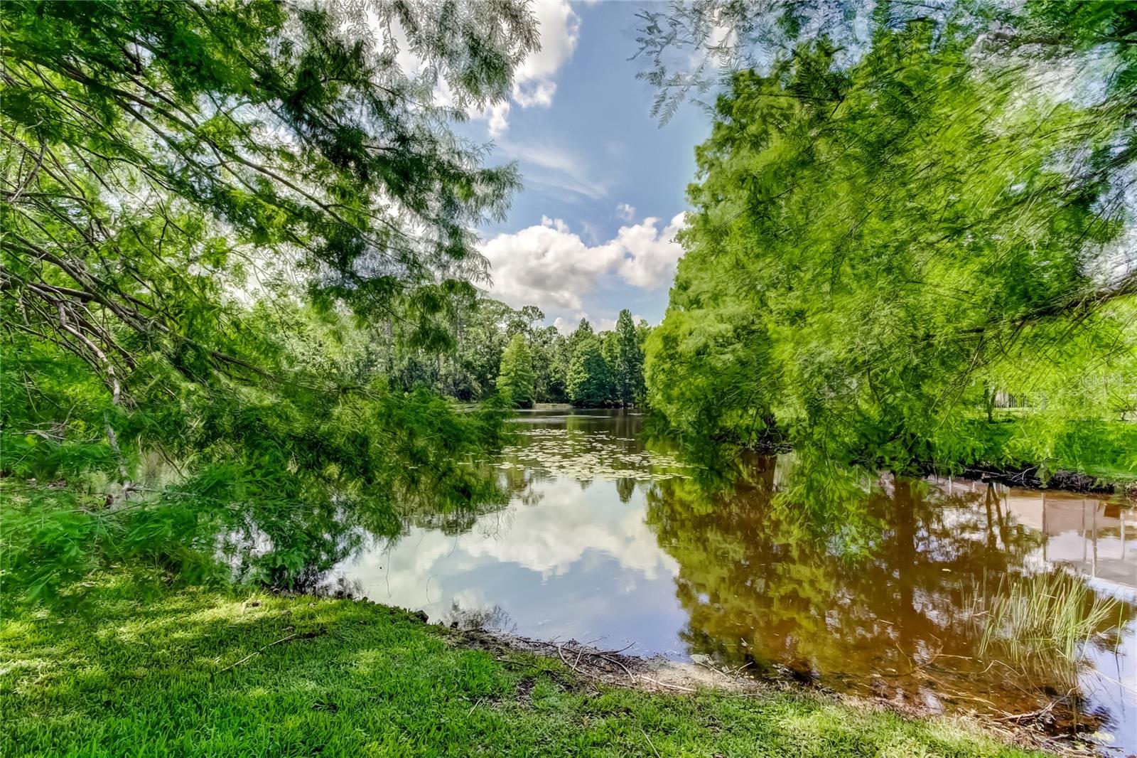 WESTCHASE SEC 223 - Residential Lease