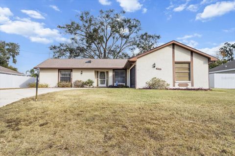 A home in SPRING HILL