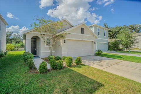 10853 TRAILING VINE DRIVE TAMPA FL 33610