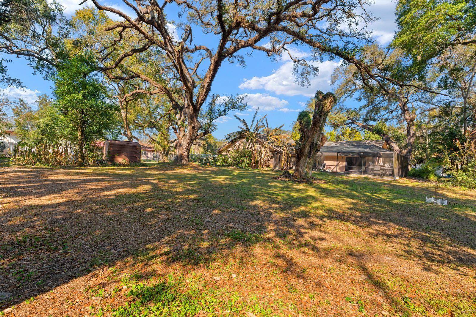 UNPLATTED - Residential