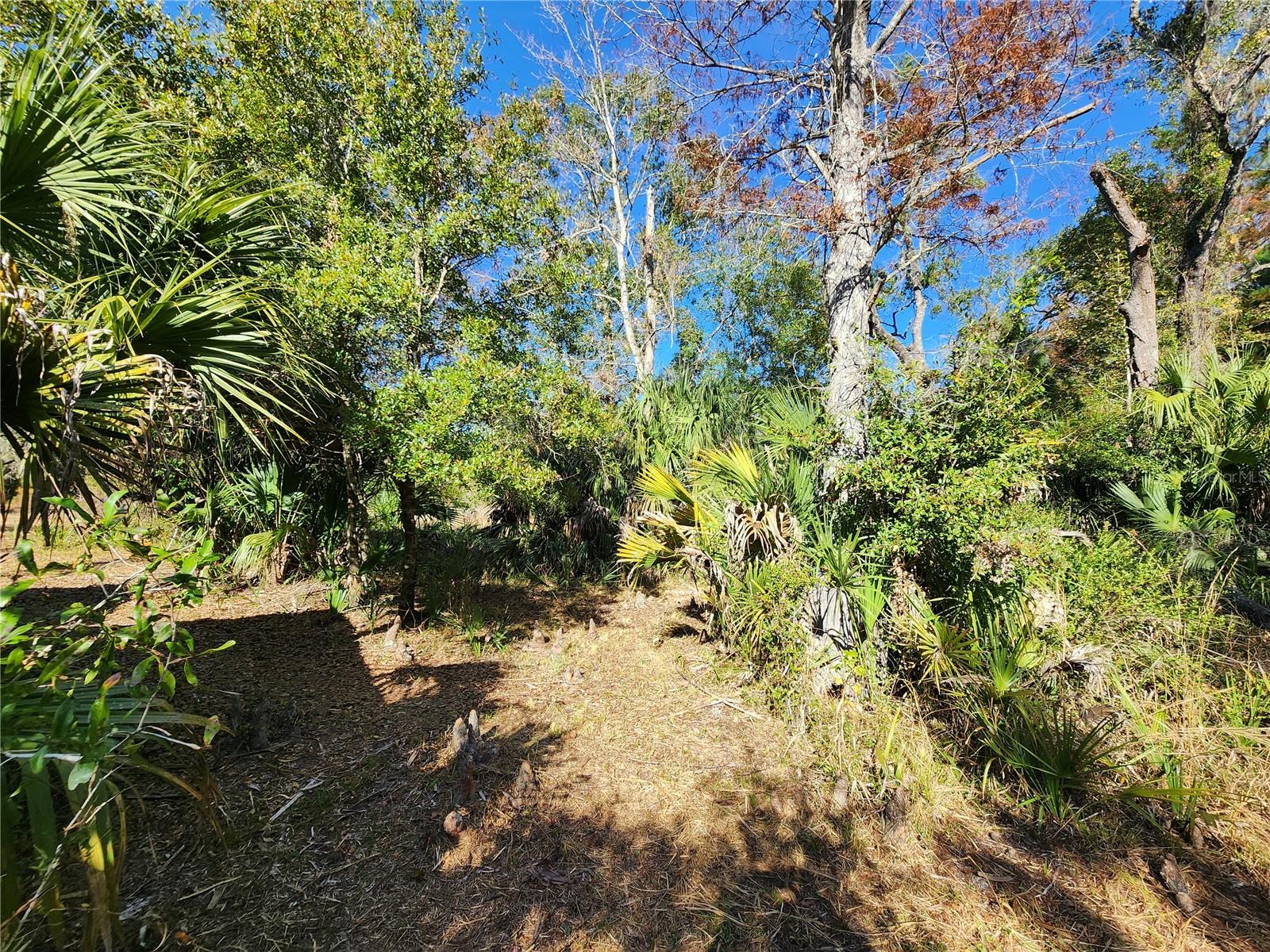 TRAILS END RETREAT UNREC - Residential