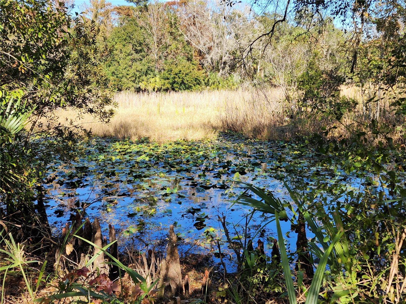 TRAILS END RETREAT UNREC - Residential