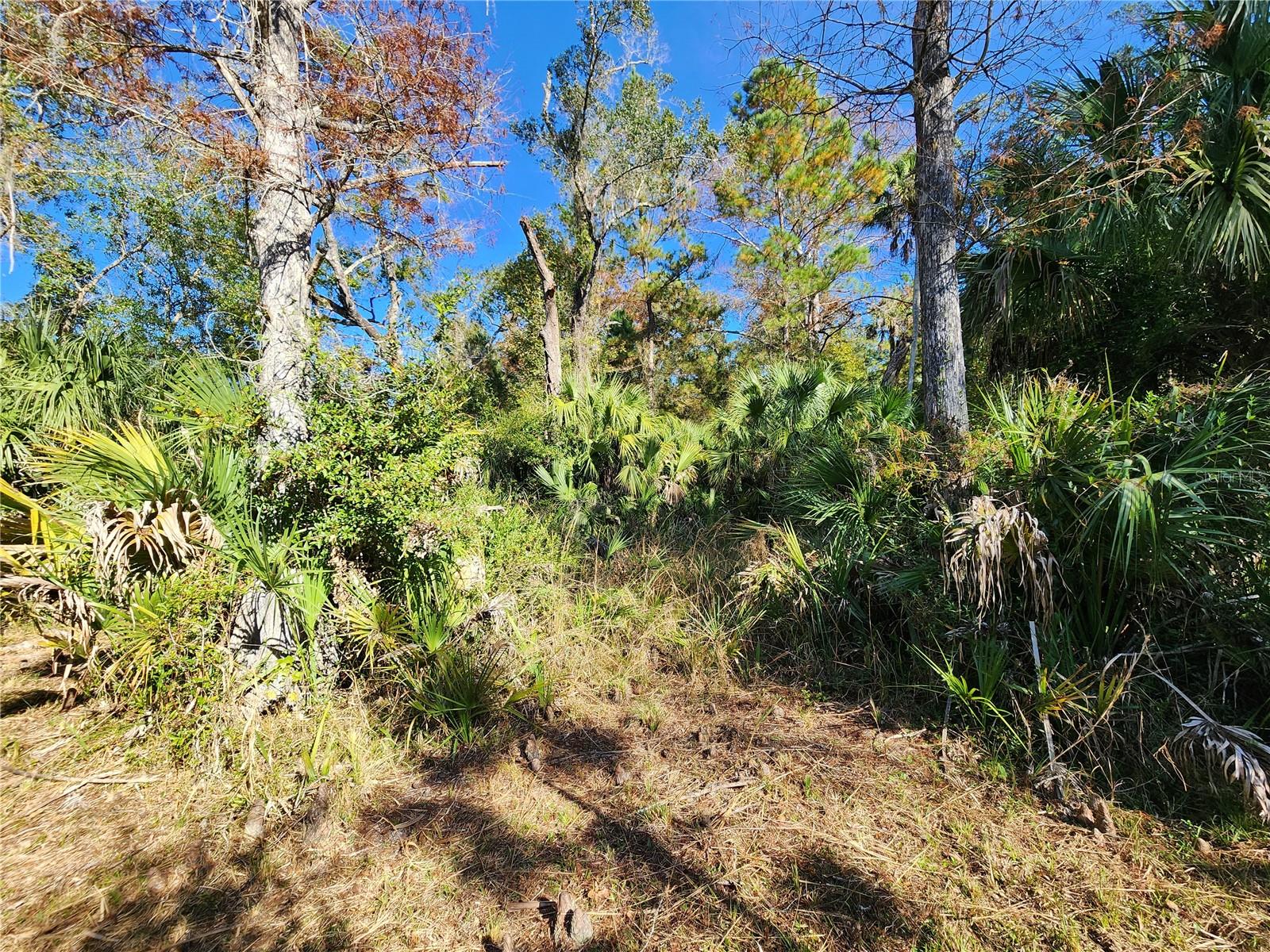 TRAILS END RETREAT UNREC - Residential