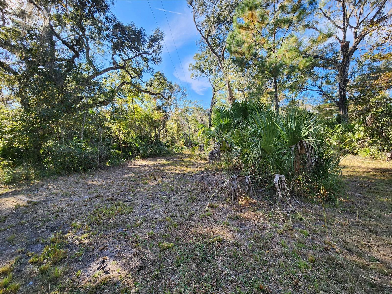 TRAILS END RETREAT UNREC - Residential