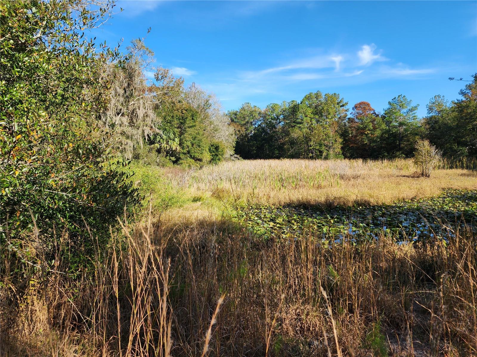 TRAILS END RETREAT UNREC - Residential