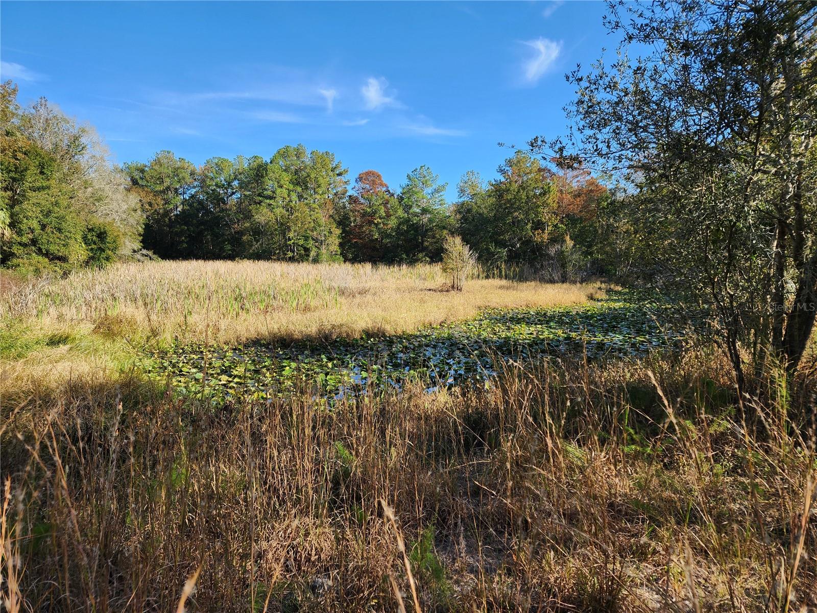 TRAILS END RETREAT UNREC - Residential